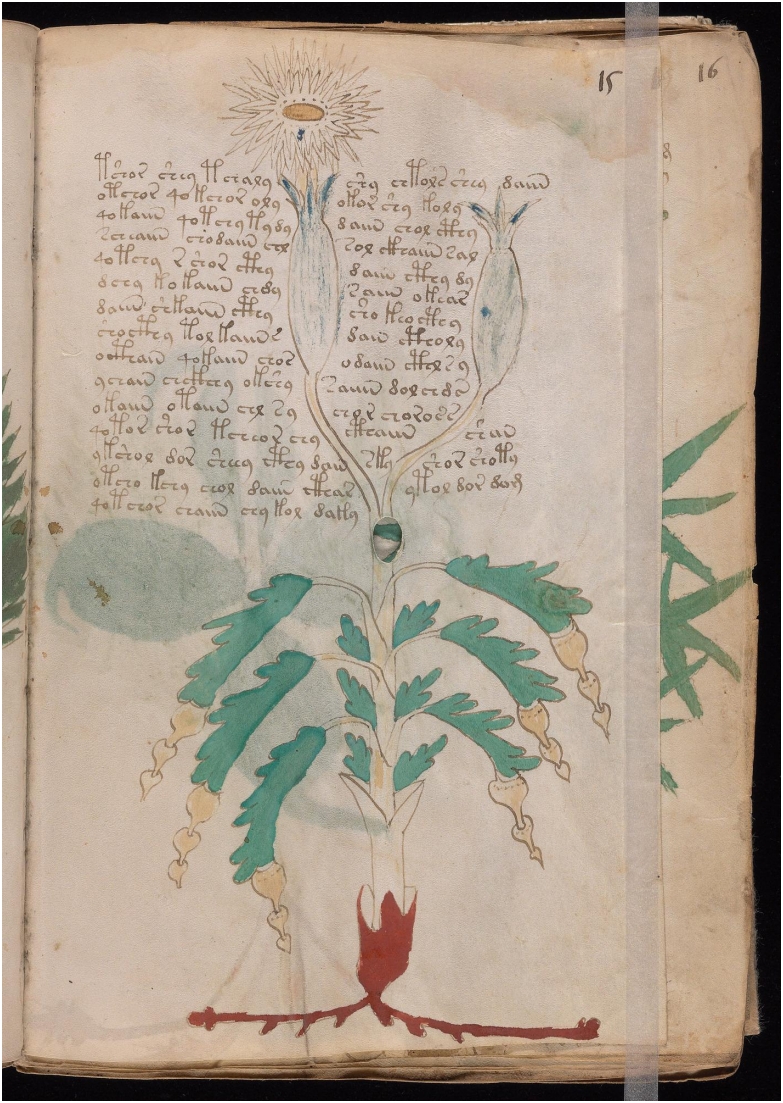 Original manuscript of Folio 15r